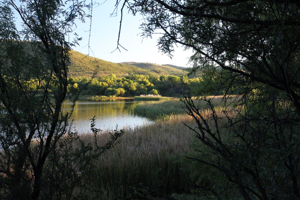 Patagonia Lake State Park