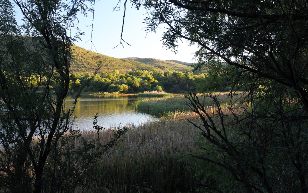 Patagonia Lake State Park