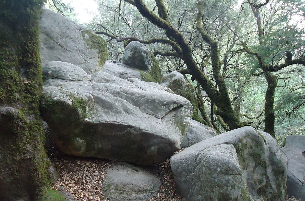 Castle Rock State Park