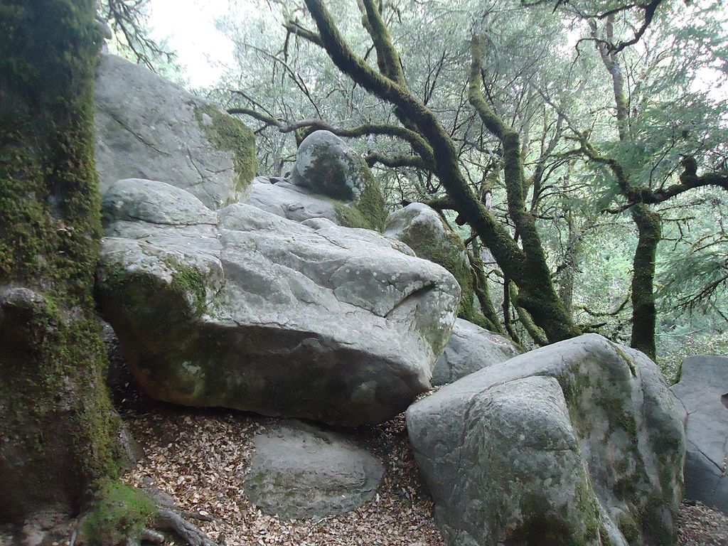 Castle Rock State Park