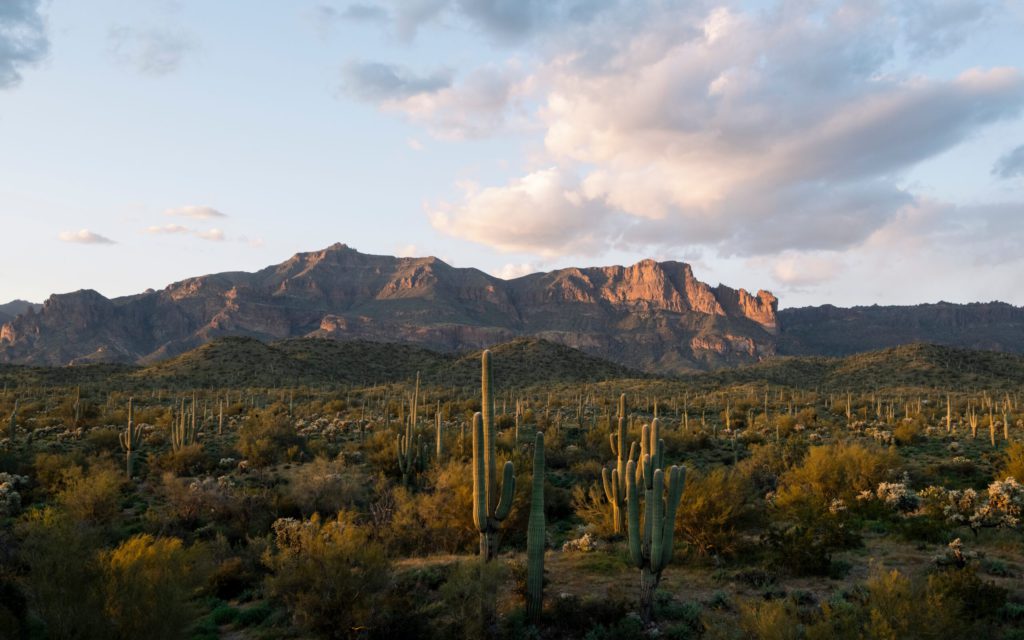 10 Beautiful Places to Camp in Arizona For Free
