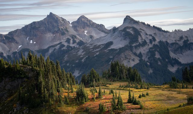 Washington