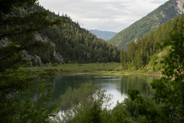 Idaho